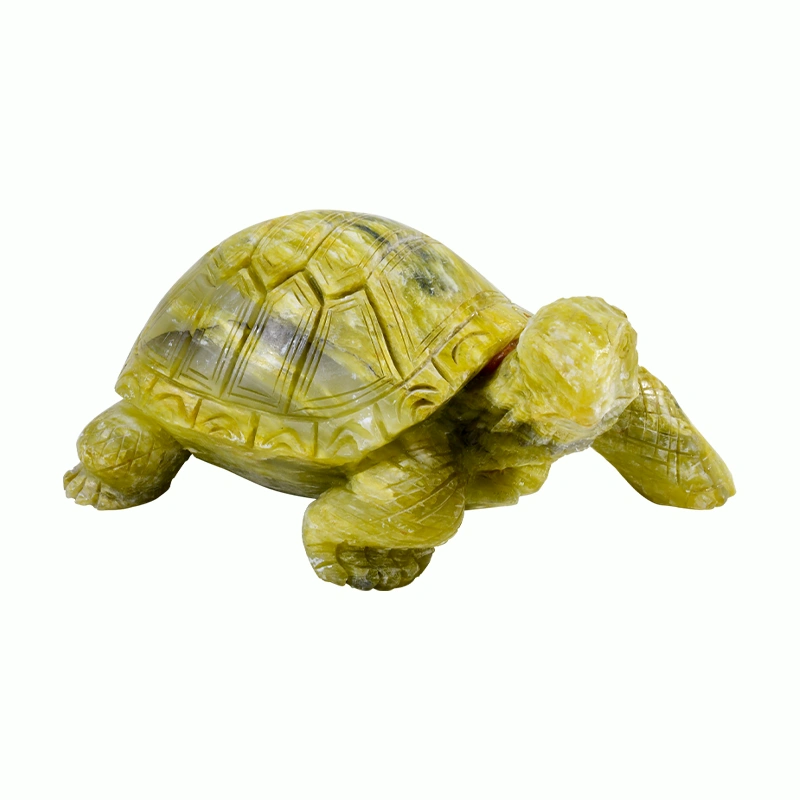 Gemstone Turtle