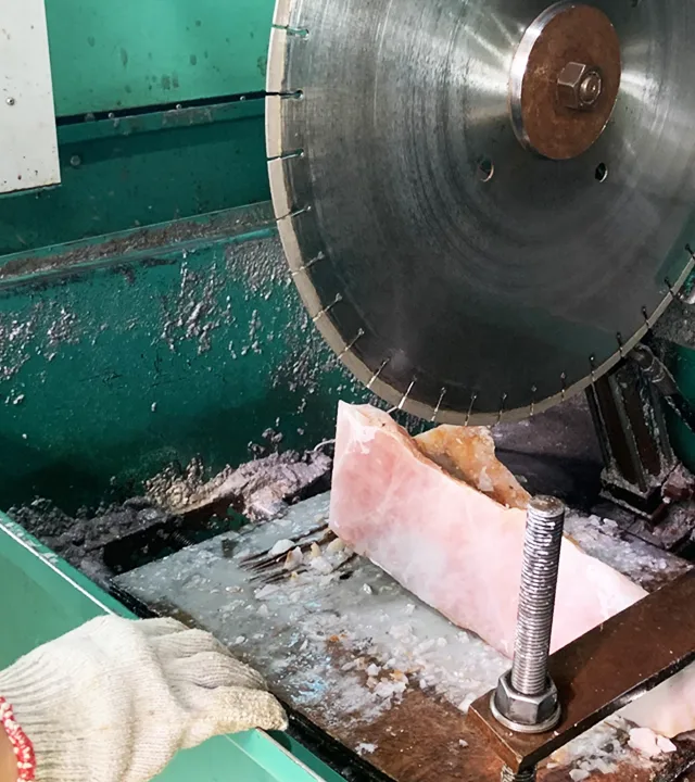 State-of-the-Art Facilities