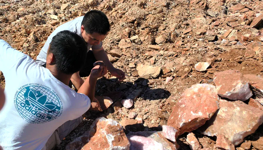 Rough Stone Selection(africa)