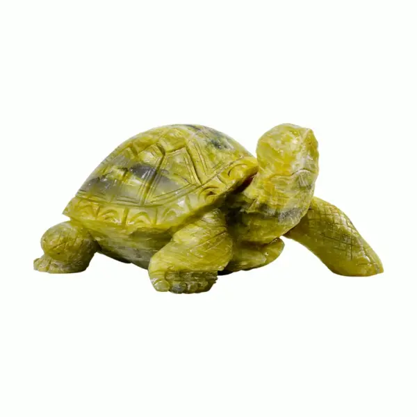 Home 19 Gemstone Turtle 3.2 600x600 1